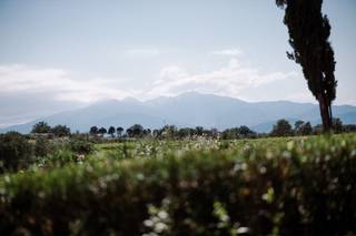 Clos des Aspres - 12