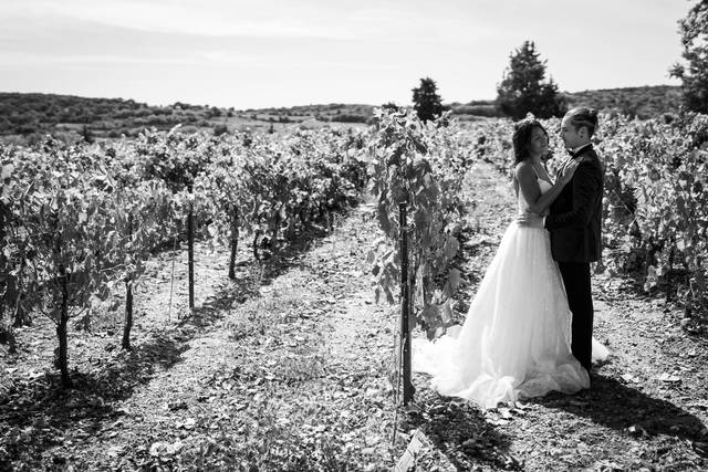 Domaine de la Tour 4