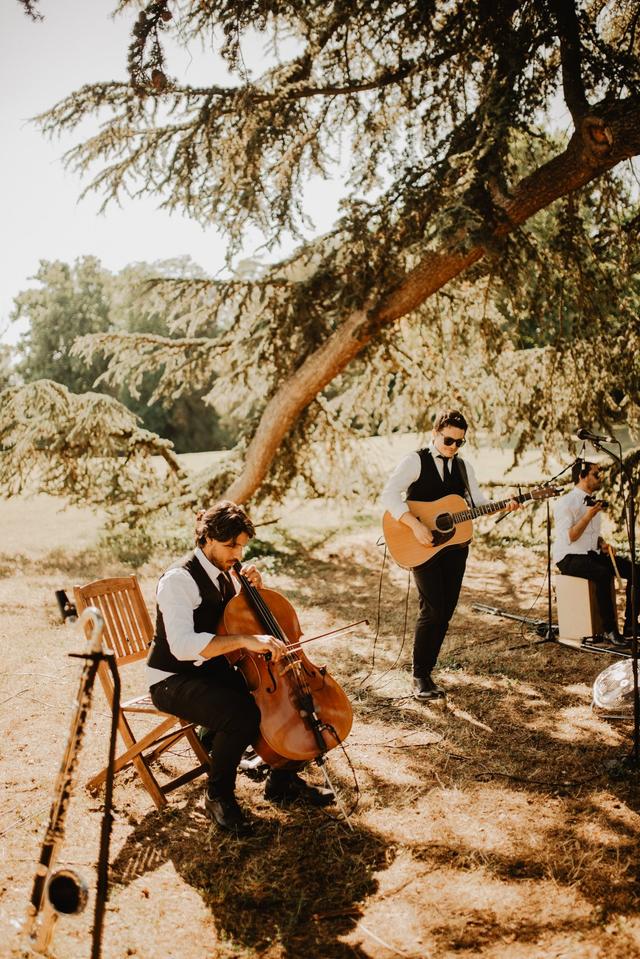 ApolloFish Acoustic Band - 2