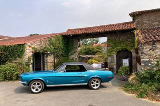 Mustang 85 - 4