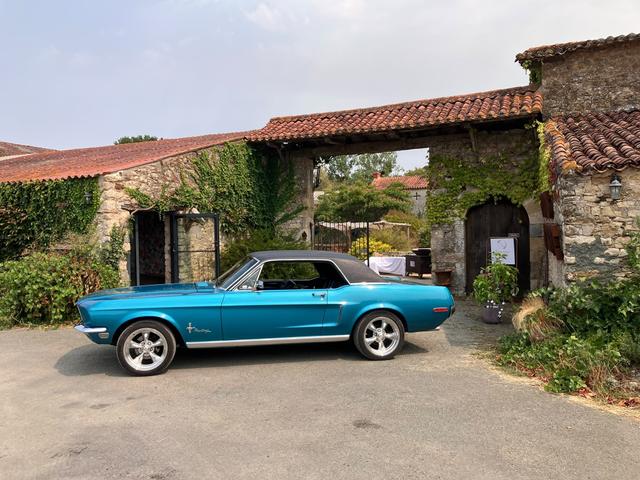 Mustang 85 - 1