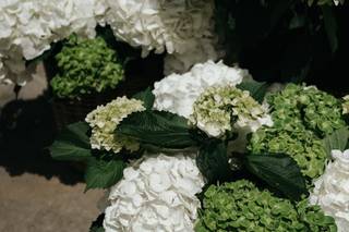 Atelier Fleurs Bleues - 11