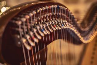 Eihwaz - Harpe Celtique - Vérifiez la disponibilité et les prix