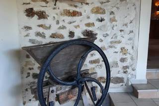 Domaine des Oliviers - 9