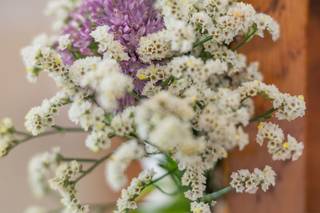 Les Fleurs Bavardes - 8