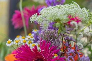 Les Fleurs Bavardes - 9