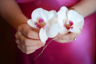 Secret de Roses - 8