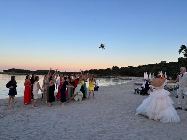 Vip Beach - 3