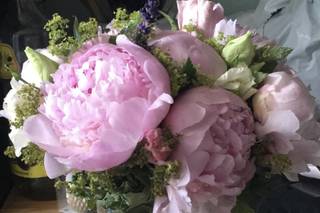 Bouvier Fleuriste - 5
