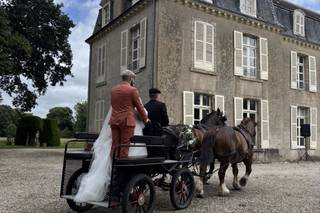 Château de Bogard - 6