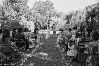 La Bambouseraie de Sulauze - 5