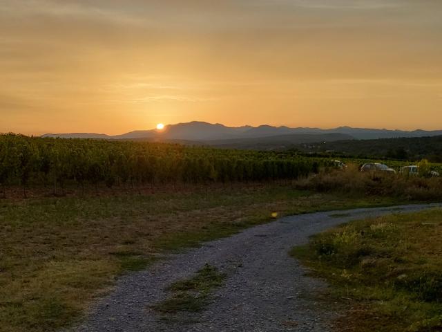 Domaine Terra Noe - 1