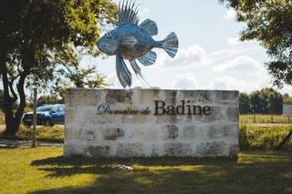 Domaine de Badine - 17