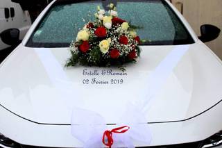 Du Rose dans les Étoiles - 12