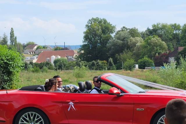 FGT Luxury 5