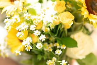 2B Photographie - 6