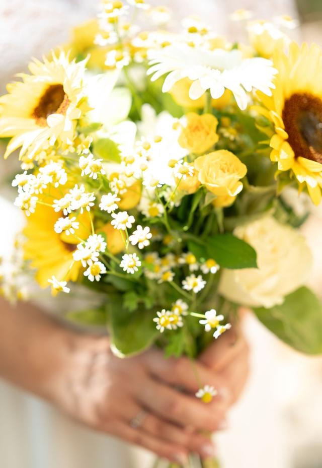 2B Photographie - 2