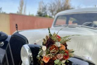 Vintage Cars 34 - 4
