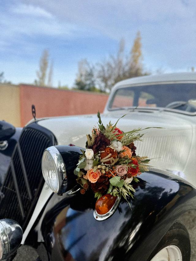 Vintage Cars 34 - 2