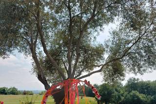 Domaine Estolosa - 5