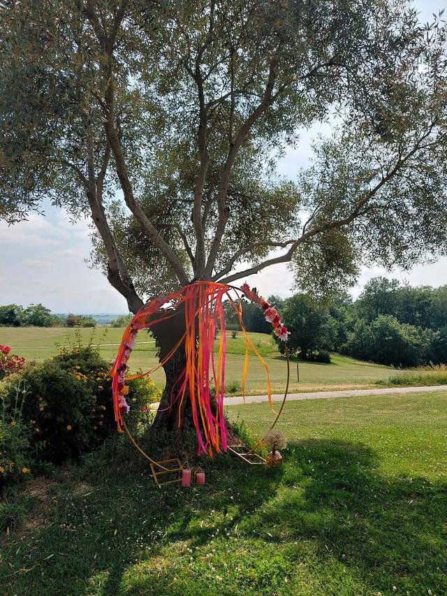 Domaine Estolosa - 2