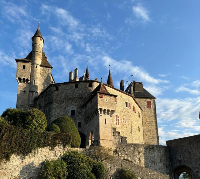 Château de Menthon - 1