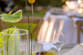 Jardin d'Arums - 6