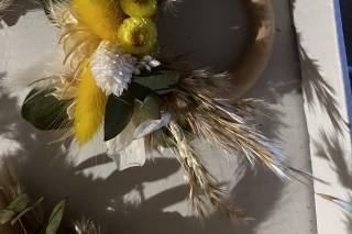 Pigne & Mimosa - 13