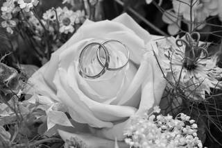 Normandie Photos - 9