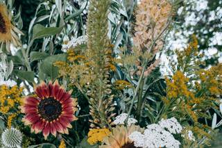Groen Studio - 7