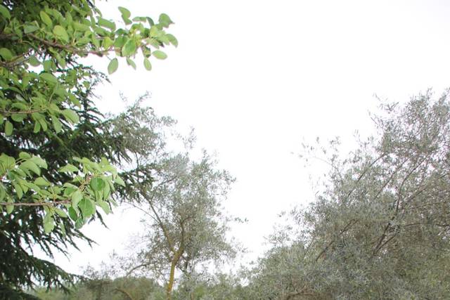 Domaine de la Tapie 3