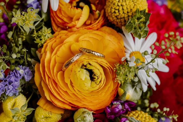 Paulette à Bicyclette - 3