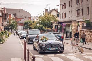 Silvercarparis - 5