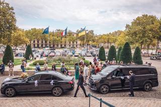Silvercarparis - 6
