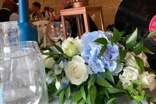 Ozéo Décor - 7