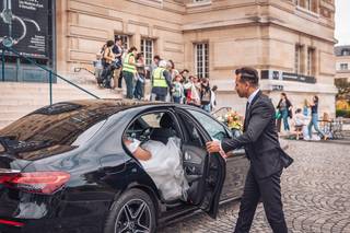 Silvercarparis - 7