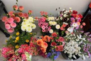 Poppie Ferme Florale - 5