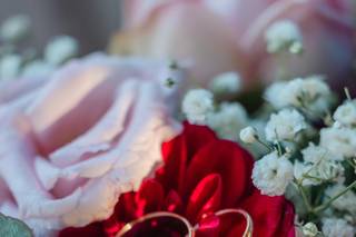 Margaux Daguet Photographie - 6