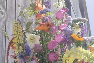 Au Pré Fleuri - 8