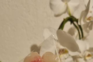 Ameya by Claire-Line - 1