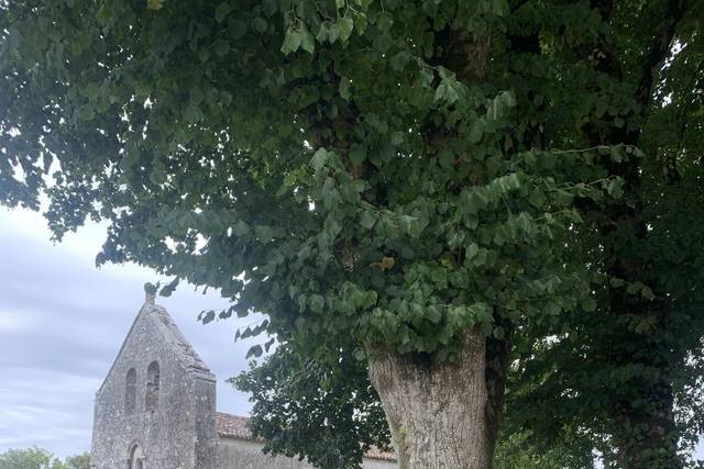 Château de Crazannes 2