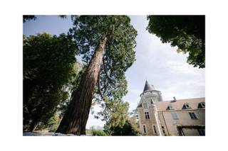 Chateau de Bouesse en Berry - 6