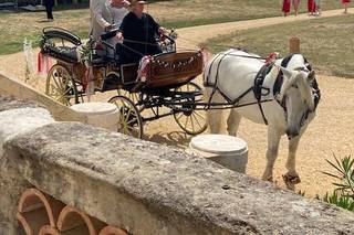 Château de Boisverdun - 10