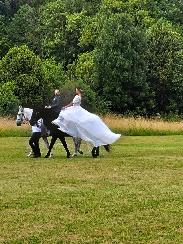 Equi Event - 2