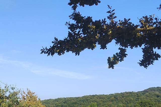 Domaine du Cinquau 3