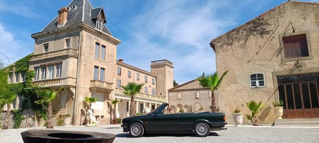 Château Joyeux de Violet - 1