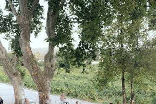 Château de l'Olivète - 9