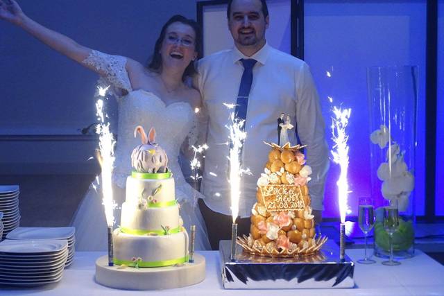 FJ Cake Designer 5