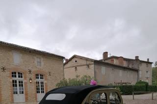 Orangerie de Saliès - 15