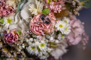 Central Photo - 7